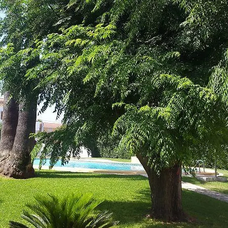 Las Mimosas *